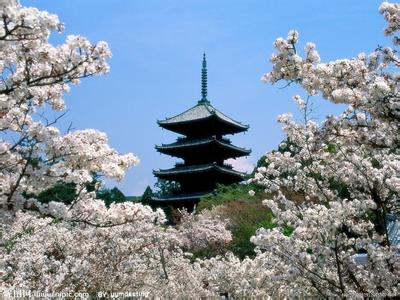 仁和天气预报10天查询，未来十天天气