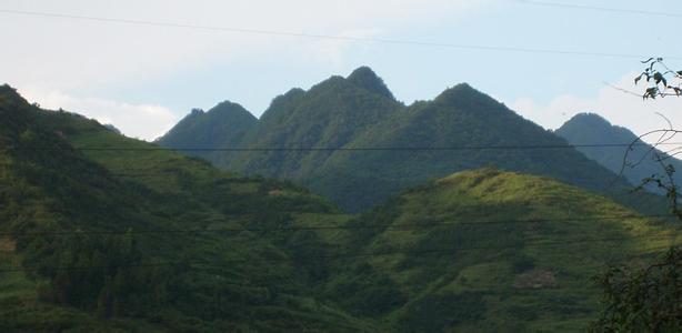 青川天气预报10天查询，未来十天天气