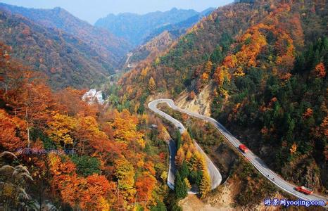 巴中天气预报10天查询，未来十天天气