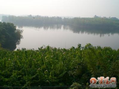 简阳天气预报10天查询，未来十天天气