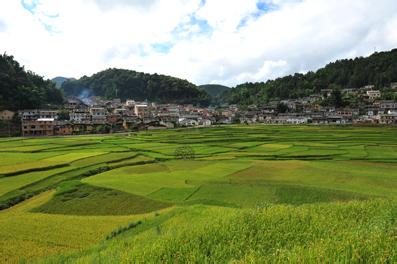 马关天气预报10天查询，未来十天天气