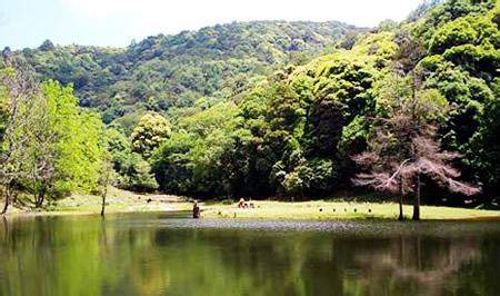 永平天气预报10天查询，未来十天天气