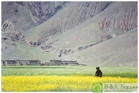 萨迦天气预报10天查询，未来十天天气