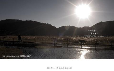 千阳天气预报10天查询，未来十天天气