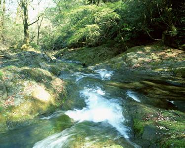 清涧天气预报10天查询，未来十天天气