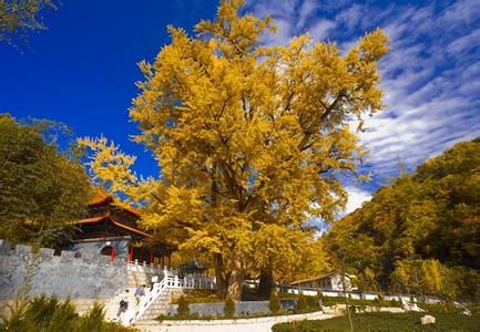 柞水天气预报10天查询，未来十天天气