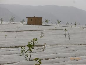 红古天气预报10天查询，未来十天天气