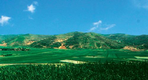 泾川天气预报10天查询，未来十天天气