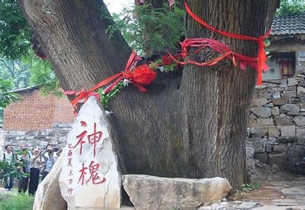 崇信天气预报10天查询，未来十天天气