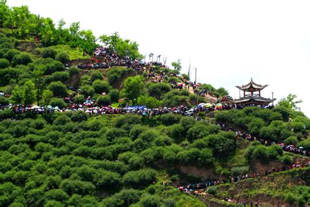 岷县天气预报10天查询，未来十天天气