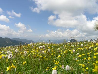 迭部天气预报10天查询，未来十天天气