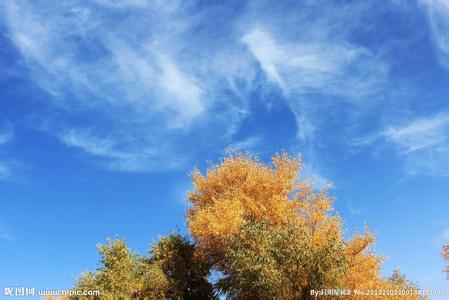 轮台天气预报10天查询，未来十天天气