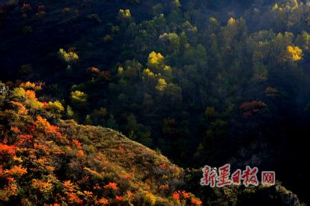 巩留天气预报10天查询，未来十天天气