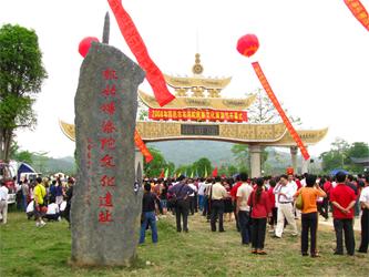 田阳天气预报15天查询