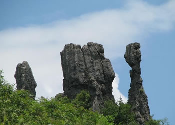 务川天气预报15天查询