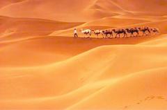 克拉玛依驼铃梦坡沙漠公园天气