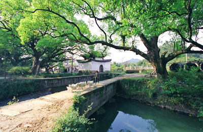 丽水莲都通济堰天气