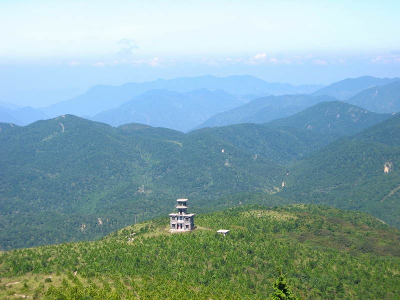 丽水庆元百山祖