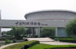 聊城中国阿胶博物馆