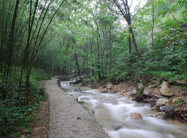 栾川县寨沟生态旅游区