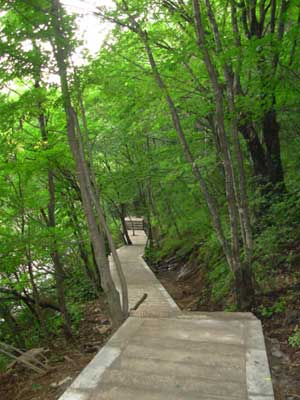 洛阳嵩县木札岭天气