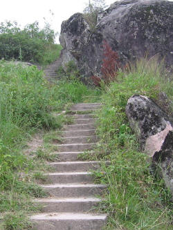 抚州从姑山