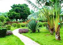 开发南亚热带作物植物园