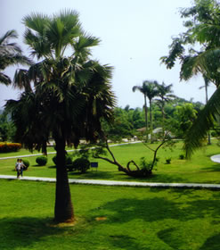 湛江南亚热带植物园天气