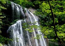 点军兰草谷风景区