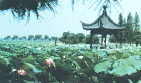 武汉东湖天气