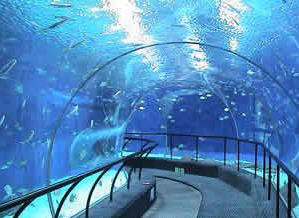 成都海洋馆天气 成都海洋馆天气