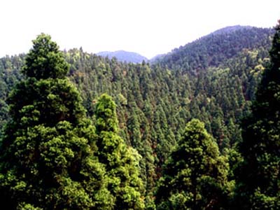 曲靖寥廓山天气