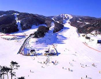 银川大漠沙湖滑雪场天气