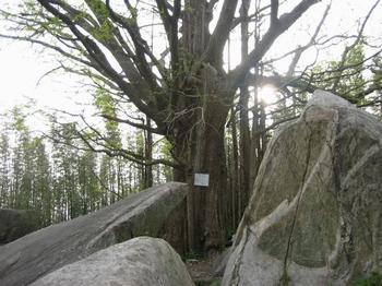 新浦悟正庵